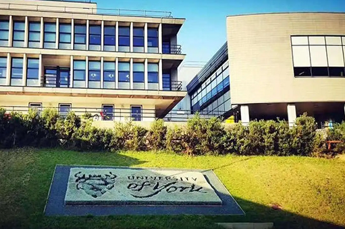约克大学