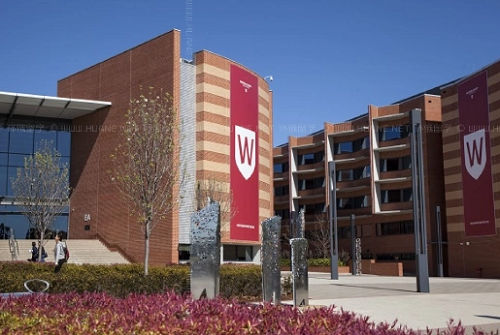 麦考瑞大学