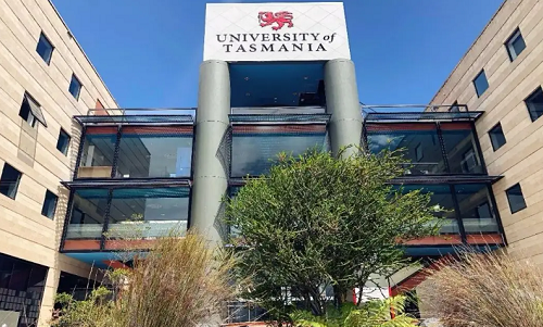 塔斯马尼亚大学
