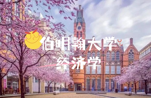 伯明翰大学经济学_副本