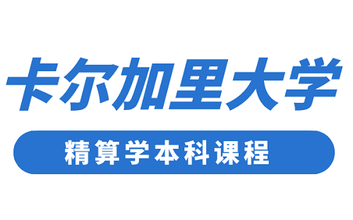 卡尔精算学