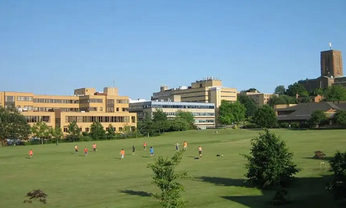 纽卡斯尔大学