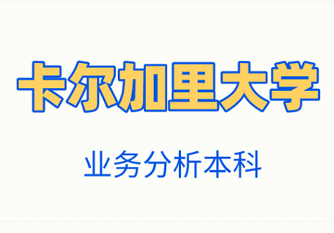 业务分析本科