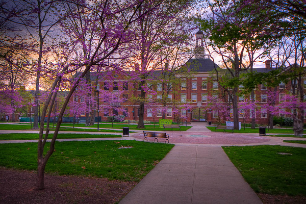 格林威治大学金融与经济课程辅导哪家好? 格林威治大学金融与经济课程辅导哪家好?