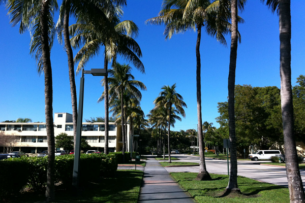 麦吉尔大学Comp251考试哪家能辅导？