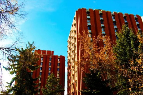 MU港都会会计学课程预习策略有哪些？