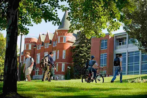 德克萨斯农工大学BIMS生物信息学与分子科学课程预习辅导