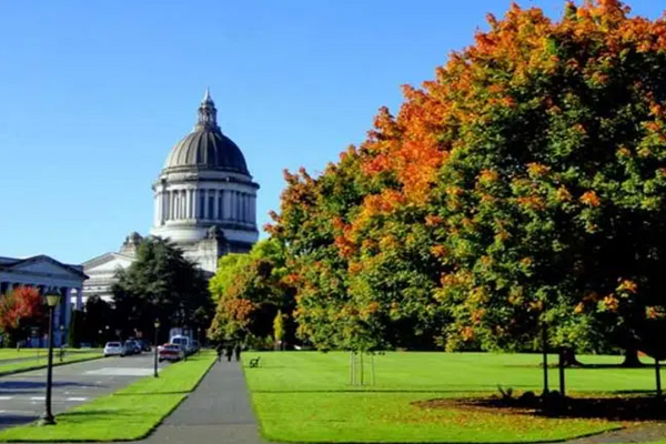 阿德莱德大学信息技术课程辅导哪家好？