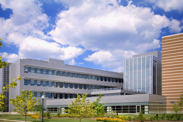 香港岭南大学财务会计作业哪家能辅导? 香港岭南大学财务会计作业哪家能辅导?