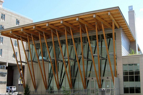 香港城市大学创意媒体作业辅导哪家好？