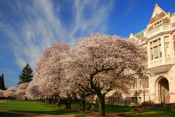 西澳大学土木工程课程辅导补习 西澳大学土木工程课程辅导补习