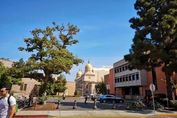 奥克兰大学信息技术作业辅导哪家好? 奥克兰大学信息技术作业辅导哪家好?