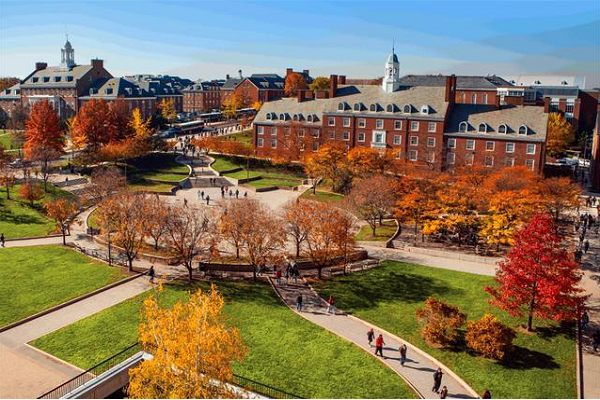 香港岭南大学CCC8012考试辅导哪家好？